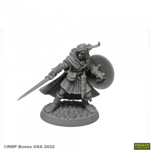 Mellonir Windrunner, Elfenkrieger 07026