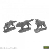 Wolfsrudel (3) 07038