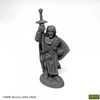 Sir Danarel der Heilige 07076