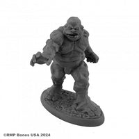 Lehmgolem 07140