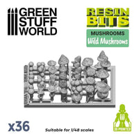 Green Stuff World Wild Mushrooms 11608