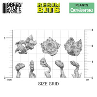 3D-gedrucktes Set – Fleischfressende Pflanzen 11624