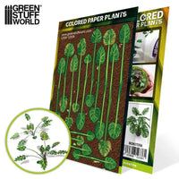 Papieren Planten - Colored Paper Plants - Monstera 12836