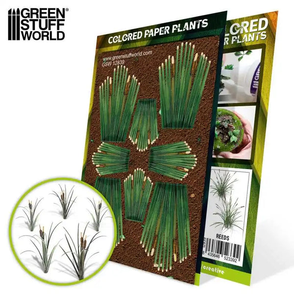 Papieren Planten - Colored Paper Plants - Reeds 12839