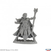 Alaedril Starbloom, Elf Wizard 30008