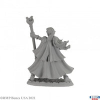 Alaedril Starbloom, Elf Wizard 30008