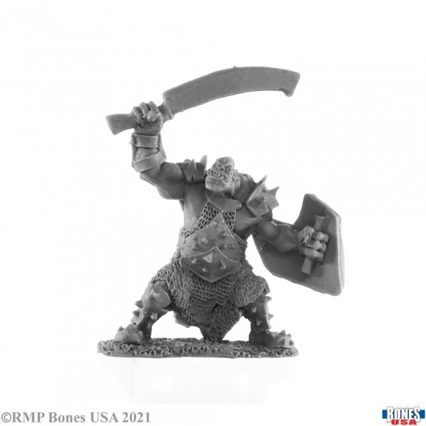 Ork-Plünderer 30022