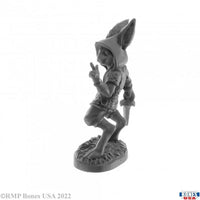 Rask, Male Harefolk 30052