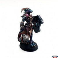 Tarmiczi, weibliche Drachenblut-Paladin 30147