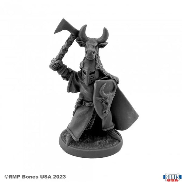 Sir Guy der Rote 30151