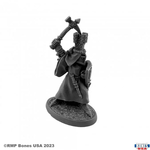 Sir Roland der Graue 30152