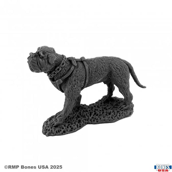 Garr, War Dog 30203