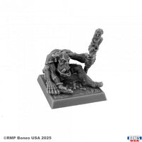 Ork-Schamane 30235