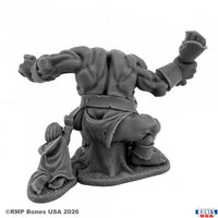 Reaper Miniatures The Pickpocket 30290