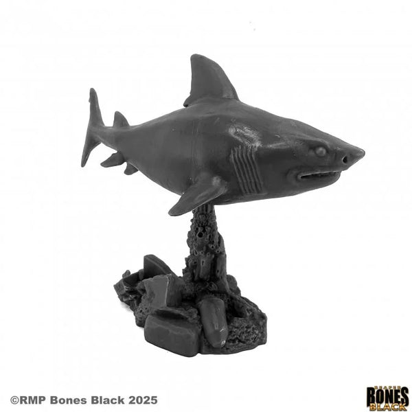 Great White Shark