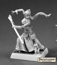 Winter Witch Human Warlock 60149 (metal)