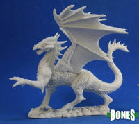 Silver Dragon 77329