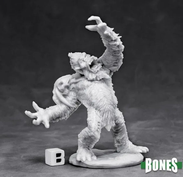Yeti-Häuptling 77434