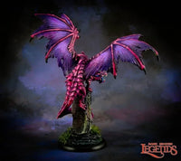 Tempeldrache 77503