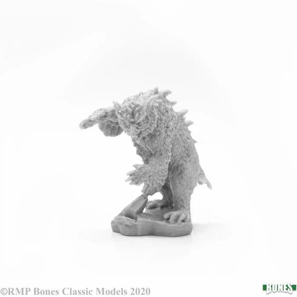 Flachland-Eulenbär 77674