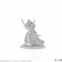 Aravir, Elf Ranger 77677