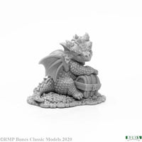 Schatz Rocky 77918