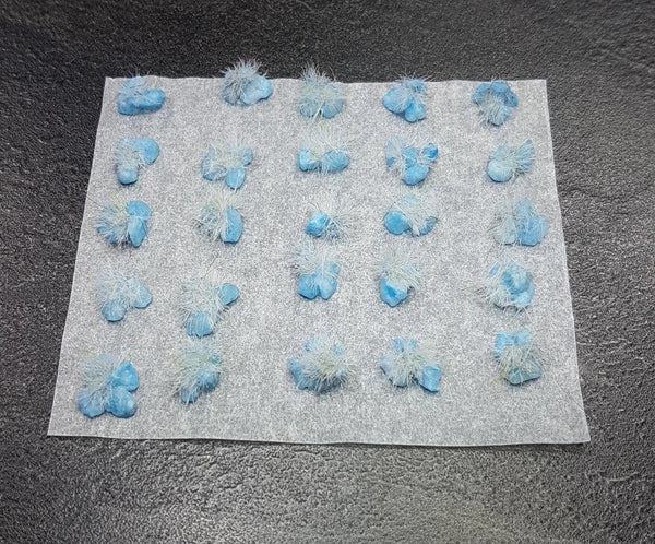 Blauer Drachenfelsen Wintergras 25