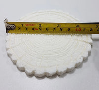 Baumscheibe (Basis)