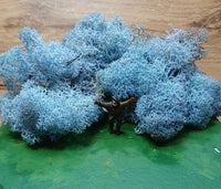 Isländisches Moos Eisblau 20 Gramm