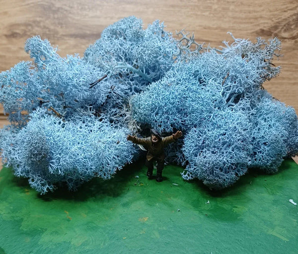 Isländisches Moos Eisblau 20 Gramm