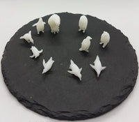 Pinguine (10)