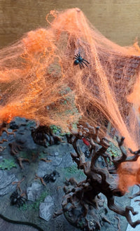 Spinnennetz / Spinnennetz Orange