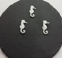 Seepferdchen (3)