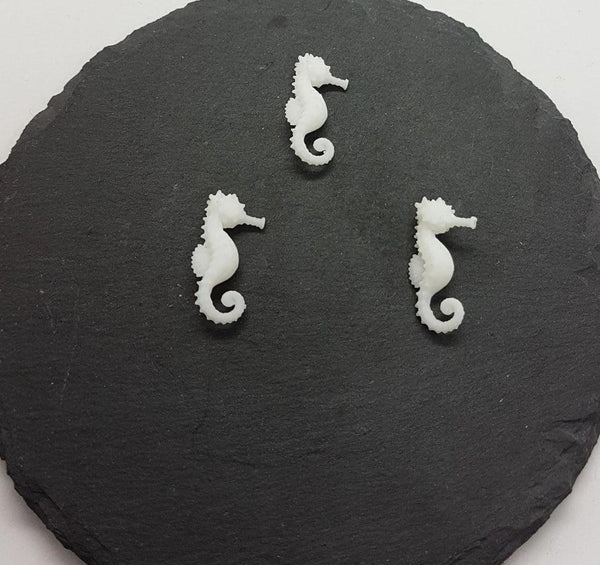 Seepferdchen (3)