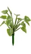 Grüne Pflanze, 4 cm hoch, 10 Stück