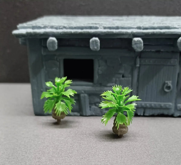 Zwergpalmen, 20 Stück, 15 mm